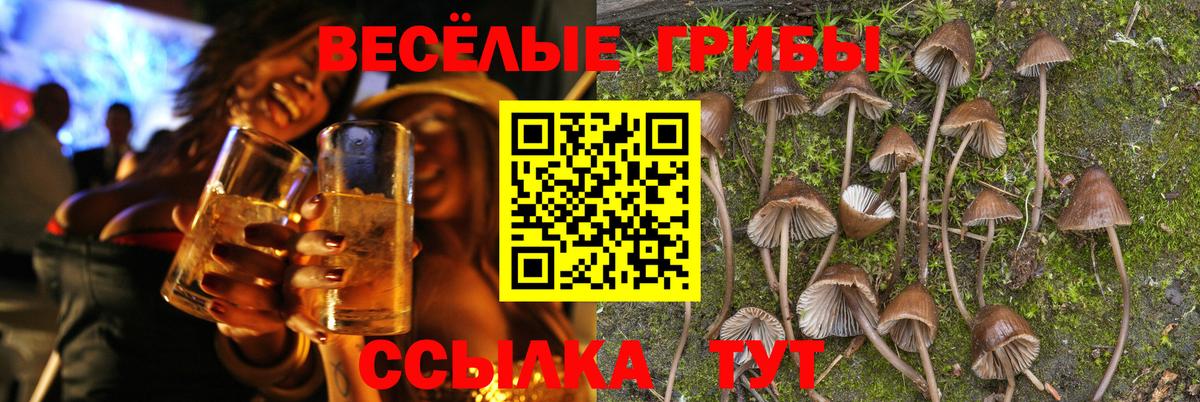 Псилоцибиновые грибы Magic Shrooms  Галлюциногенные грибы MAGIC MUSHROOMS  Вход с VPN  Искитим 